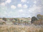 Alfred Sisley Ang painting